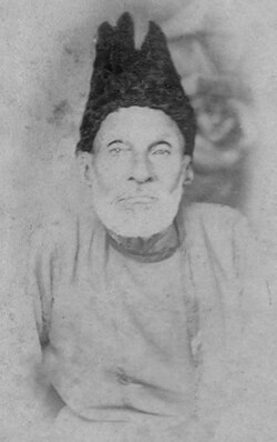 Portrait of Mirza Ghalib