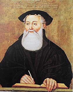 Portrait of Theodore Bibliander