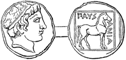 Portrait of Pausanias of Macedon