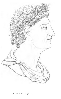 Portrait of Marcus Gavius Apicius