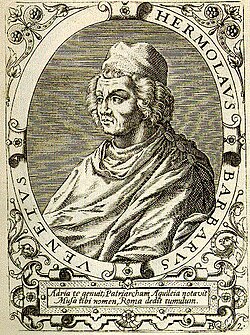 Portrait of Ermolao Barbaro
