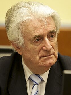 Portrait of Radovan Karadžić