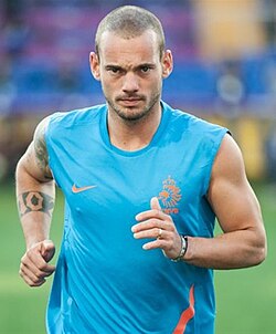 Portrait of Wesley Sneijder