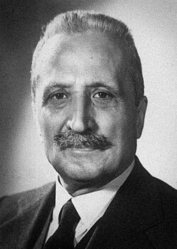 Portrait of Enrico de Nicola