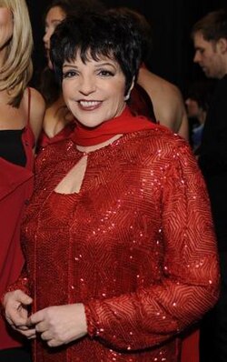 Portrait of Liza Minnelli