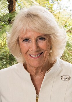 Portrait of Queen Camilla