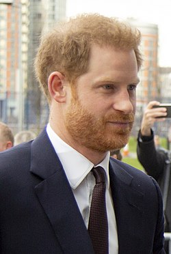 Portrait of Prince Harry, Duke of Sussex