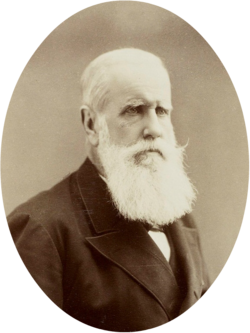Portrait of Pedro II of Brazil