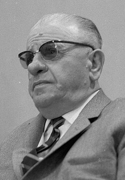 Portrait of Cevdet Sunay