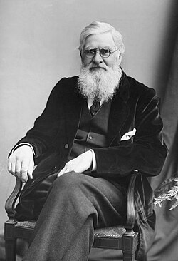 Portrait of Alfred Russel Wallace