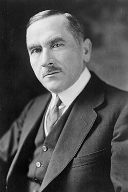 Portrait of Roman Dmowski