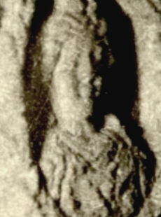 Portrait of Prisca