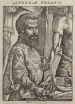 Portrait of Andreas Vesalius