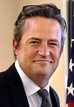 Portrait of Matthew Perry