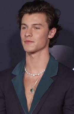 Portrait of Shawn Mendes