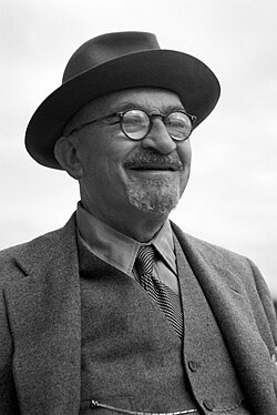 Portrait of Chaim Weizmann