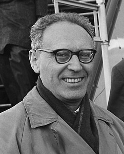 Portrait of Mikhail Botvinnik