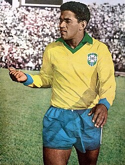 Portrait of Garrincha