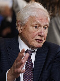 Portrait of David Attenborough