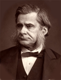 Portrait of Thomas Henry Huxley