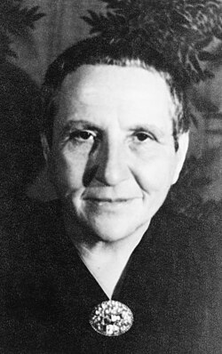 Portrait of Gertrude Stein