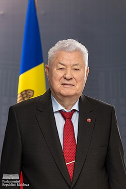 Portrait of Vladimir Voronin