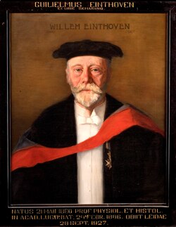 Portrait of Willem Einthoven