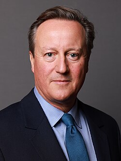 Portrait of David Cameron