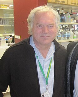 Portrait of Michael Houghton