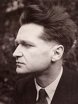 Portrait of Emil Cioran
