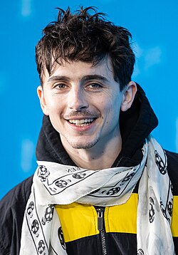 Portrait of Timothée Chalamet