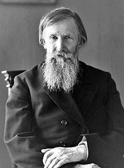 Portrait of Viktor Vasnetsov
