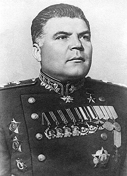 Portrait of Rodion Malinovsky