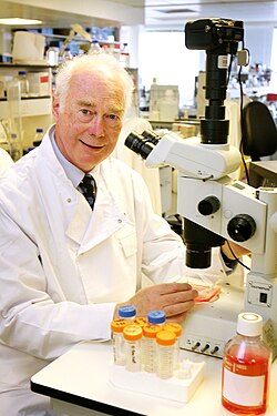 Portrait of Martin Evans