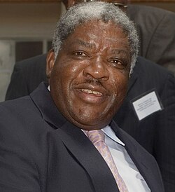 Portrait of Levy Mwanawasa