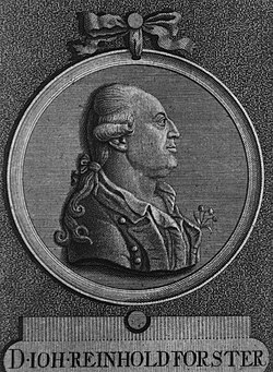 Portrait of Johann Reinhold Forster