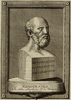 Portrait of Xenocrates
