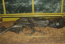 Portrait of Tollund Man