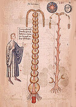 Portrait of Jean de Roquetaillade