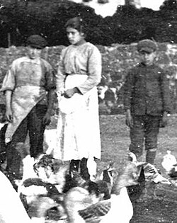 Portrait of Maria Goretti