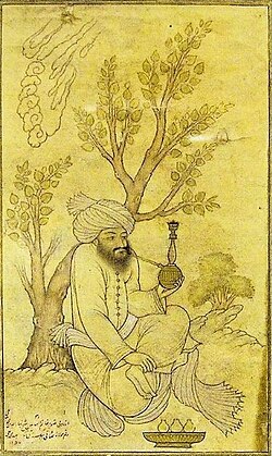 Portrait of Bahāʾ al-dīn al-ʿĀmilī