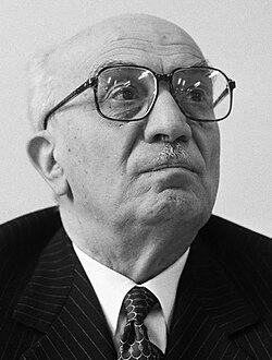 Portrait of Amintore Fanfani