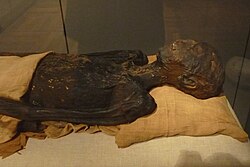 Portrait of Ahmose