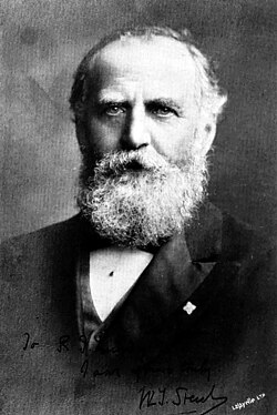 Portrait of William Thomas Stead