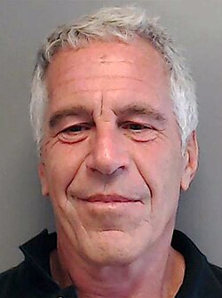Portrait of Jeffrey Epstein