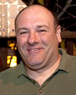 Portrait of James Gandolfini