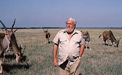 Portrait of Gerald Durrell