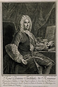 Portrait of René Antoine Ferchault de Réaumur