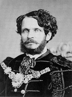 Portrait of Gyula Andrássy