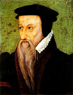 Portrait of Theodore Beza